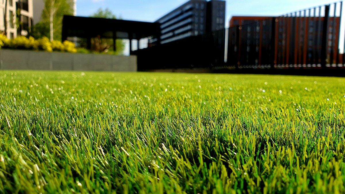 Landscaped lawn shown inside a fictional outdoor services website concept